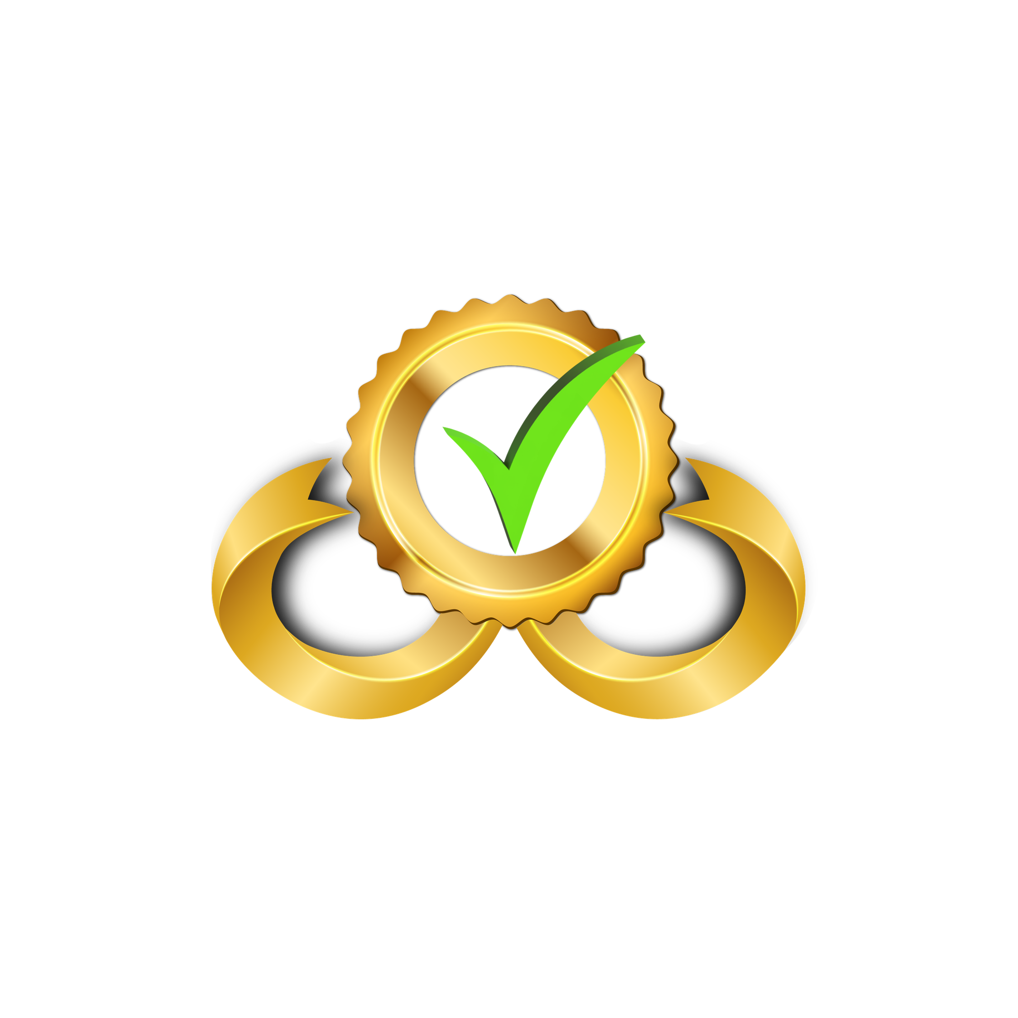 Namira Software Corporation Logo